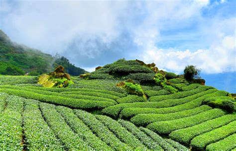 風景:y618gqvbpzs= 頭像|超过 20000 张关于“風景”和“自然”的免费图片